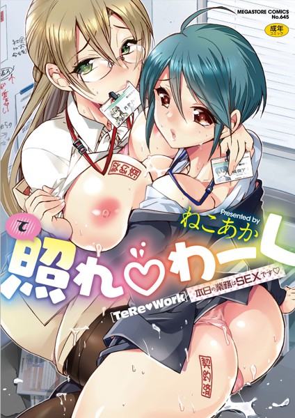 照れわーく～本日の業務はSEXです～